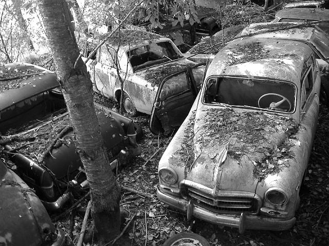 Autofriedhof - 133.JPG - Historischer Autofriedhof,    Gürbetal (CH)